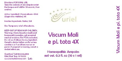 Viscummaliepltota4ampules