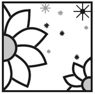 Image 2 (Cromolynsodium Image2)