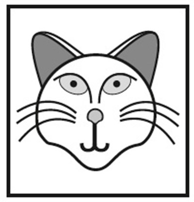 Image 3 (Cromolynsodium Image3)