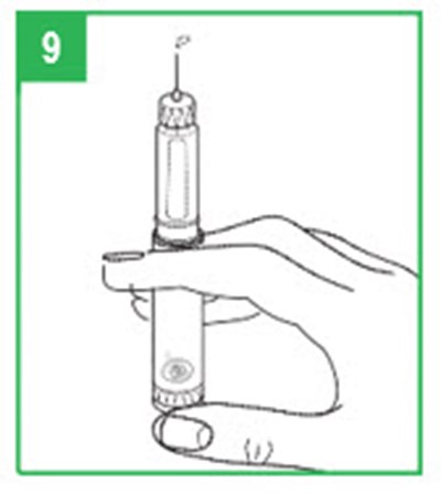 Step 9 (Image 19)
