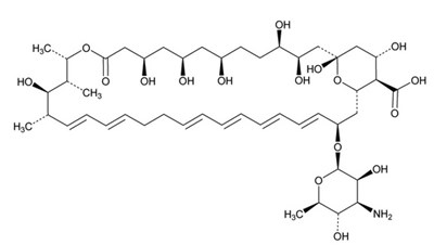 Nystatin-image (Nystatin Image)