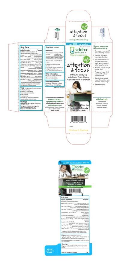 Attention And Focus Carton - AttentionAndFocusCarton