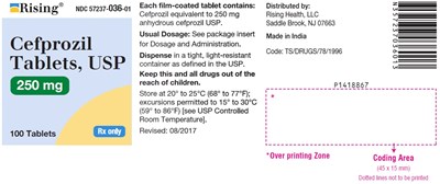 cefprozil-fig1.jpg PACKAGE LABEL-PRINCIPAL DISPLAY PANEL - 250 mg (100 Tablet Bottle) - cefprozil fig1