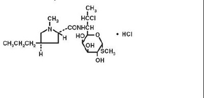 50269b4f da7e 480c b410 084be610c13a 01