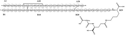 Figure 1: Structural Formula Of Tresiba (Image 01)