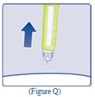 100 U/ml Ifu (Figure Q)