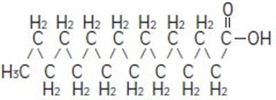 Kab02 0000 16