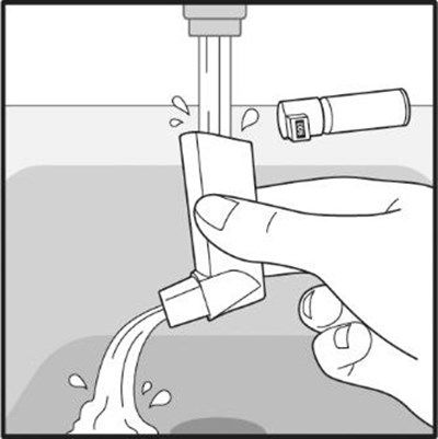 Figure I (Ventolinhfa Spl Graphic 12)