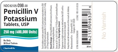 Image Description (Penicillin V Pot Tabs 250mg Bottle Label)