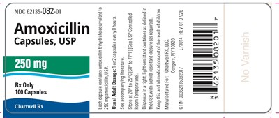 "image Description" (Amox Caps 250mg 100s Bottle Label)
