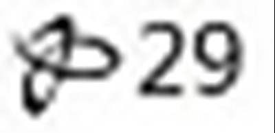 29logo (Benzonatate 29 Logo)