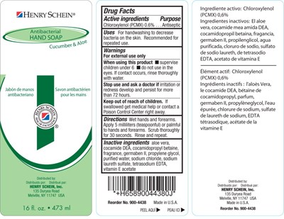 PRINCIPAL DISPLAY PANEL – 473 mL (16 fl. oz.) bottle - hen09 0001 01