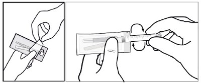 Figure2 (Figure2)