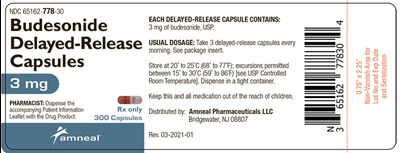 Budesonide Delayed Release Capsules 2