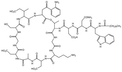 Daptomycincivica 01