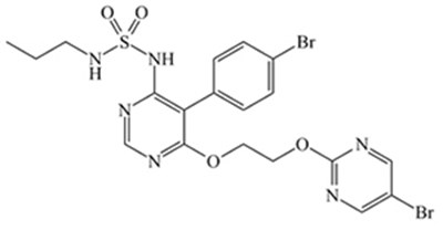 1 (Image 1)