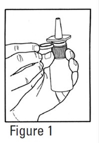 Figure 1 (Image 03)