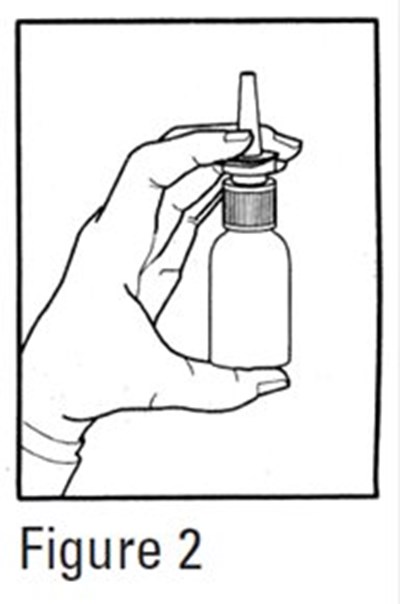 Figure 2 (Image 04)