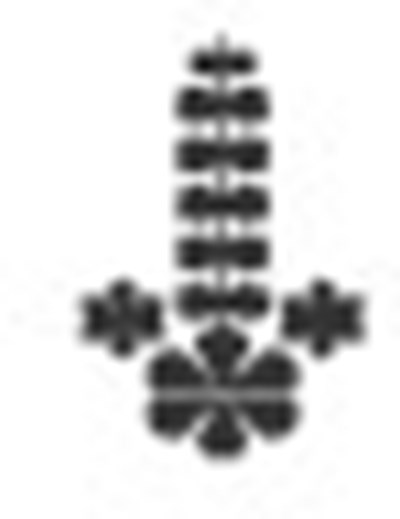 Image (F05aba4d 376f 460f 9264 Ecf267e04dcd 95 1)