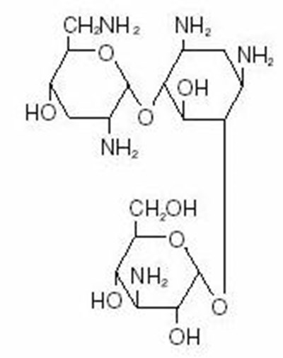 Structure Image (Tobrex 02)