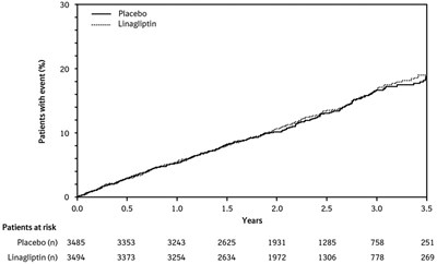 Figure 1 (Tradjenta 02)