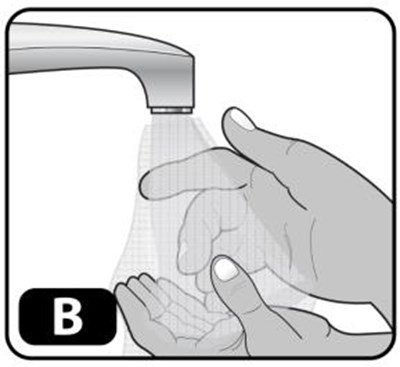 Figure B (Recombinant 0b)