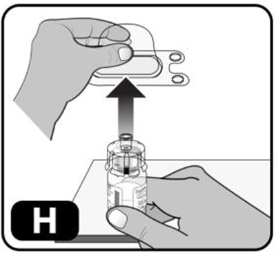 Figure H (Recombinant 11)