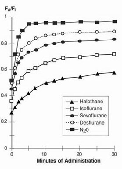 figure3.jpg figure3 - figure3