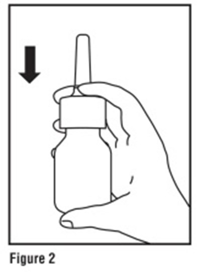 Fig2 (Mometasone Fig2)