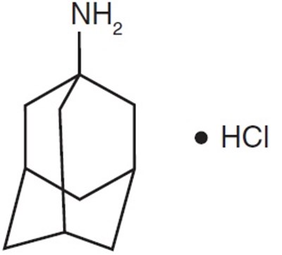 7d37eb3c-7c5d-4c18-81e0-f8761790efb1-01.jpg Structure - 7d37eb3c 7c5d 4c18 81e0 f8761790efb1 01