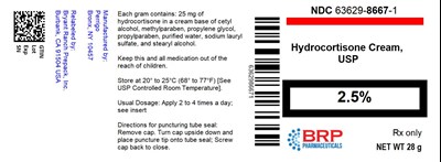 Label (Lbl636298667)