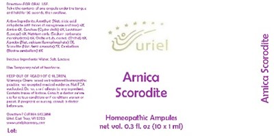 Arnicascoroditeampules