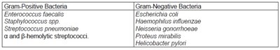 Bacteria (Amoxicillin Tablets Usp 875 mg 4)