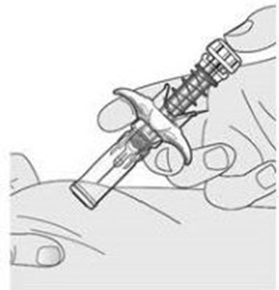 Image (Image 3)
