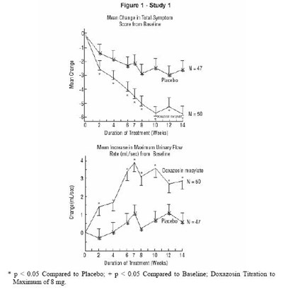 Figure 1 (Study 1)