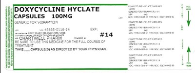 PDP_116.jpg PDP Capsules 100 mg - PDP 116