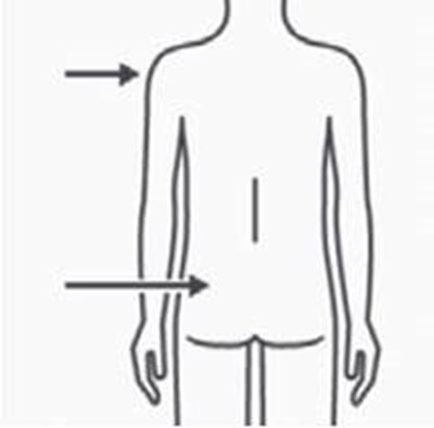 Image - e3ee0cf1 acf1 4641 a64b 56d5e73f2aac 40 4