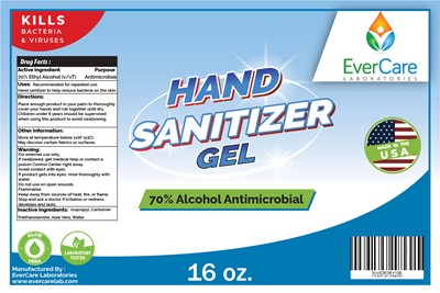 16oz Gel Hand Evercare (16oz Evercare Labs)