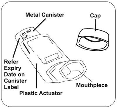 2b031c13-e183-47c6-9ea4-739a985ba463-04.jpg figure A - 2b031c13 e183 47c6 9ea4 739a985ba463 04