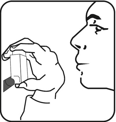 Figure C (2b031c13 E183 47c6 9ea4 739a985ba463 06)