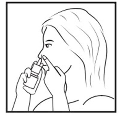 While Sniffing Image (Image 11)