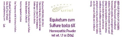 Equisetumcumsulfuretosta6powder (Equisetumcumsulfuretosta6powder)