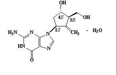 Entecavir - 6a6210fe c8ca 4db3 b0c2 571b64489ea9 01