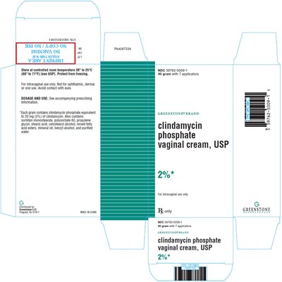 clindamycin-06.jpg PRINCIPAL DISPLAY PANEL - 40 gram Tube Carton - clindamycin 06