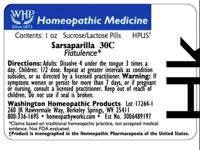 Sarsaparilla