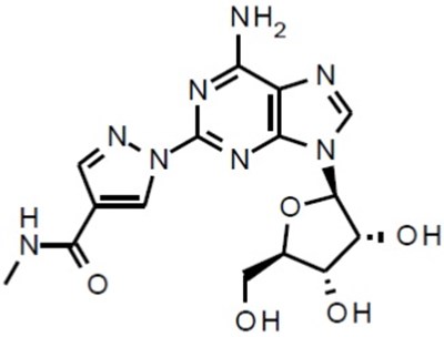 Ragadenoson-structure (Regadenoson Str)