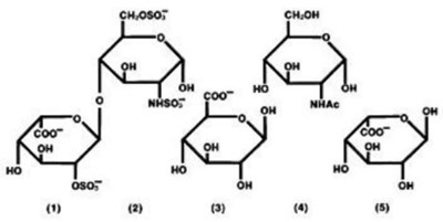 Formula1.jpg - Formula1