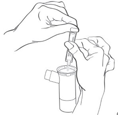 Transfer Medicine To Nebulizer Cup (Tobramycin Inhalation Solution 8)