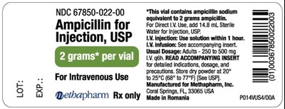 ampi-vial-label-2g.jpg ampi-vial-label-2g - ampi vial label 2g