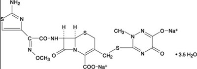 Ceftriaxone Vial Hospira 01